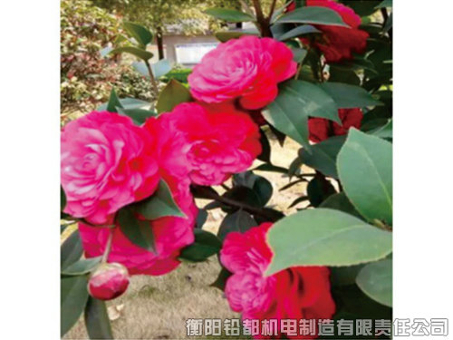 工廠環(huán)境 工廠環(huán)境
