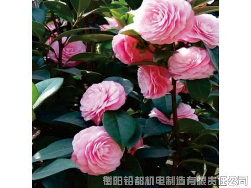工廠環(huán)境 工廠環(huán)境
